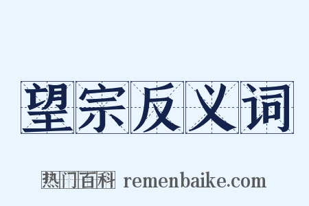 望宗反义词是什么意思的图片